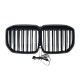 Ніздрі Чорний глянець LED ( Iconic Glow ) 2bar на BMW X7 G07 2018-2022 року