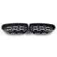 Ніздрі  Diamond All Black  на BMW 5 Series F10 / F11 2010-2017 року