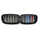 Ніздрі M-color ( Подвійні M-Look ) на BMW X5 E70 2010-2013 року