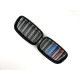 Ніздрі M-color ( Подвійні M-Look ) на BMW X5 E70 2010-2013 року