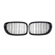 Ніздрі Чорний глянець ( 1 Bar ) V2 на BMW 7 Series F01 / F02 2008-2015 року