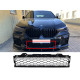 Решітки в бампер   на BMW X6 G06 2019-2022 року