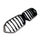Ніздрі Чорний глянець LED ( Iconic Glow ) 1bar на BMW X6 G06 2019-2022 року