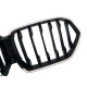 Ніздрі Чорний глянець LED ( Iconic Glow ) 1bar на BMW X6 G06 2019-2022 року