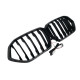 Ніздрі Чорний глянець LED ( Iconic Glow ) 1bar на BMW X6 G06 2019-2022 року