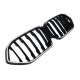 Ніздрі Чорний глянець LED ( Iconic Glow ) 1bar на BMW X6 G06 2023-2026 року