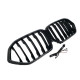 Ніздрі Чорний глянець LED ( Iconic Glow ) 1bar на BMW X6 G06 2023-2026 року