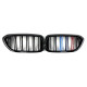 Ніздрі M-color ( Подвійні M-Look ) на BMW 5 Series G30 / G31 2017-2020 року