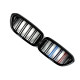 Ніздрі M-color ( Подвійні M-Look ) на BMW 5 Series G30 / G31 2017-2020 року