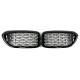 Ніздрі Diamond Silver  на BMW 5 Series G30 / G31 2017-2020 року