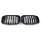 Ніздрі Чорний глянець ( 1 Bar ) на BMW X3 G01 2018-2022 року