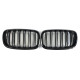 Ніздрі Чорний глянець ( Подвійні M-Look ) на BMW X5 E70 2010-2013 року