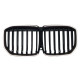 Ніздрі Чорний глянець LED ( Iconic Glow ) 1bar на BMW X7 G07 2018-2022 року