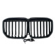 Ніздрі Чорний глянець LED ( Iconic Glow ) 1bar на BMW X7 G07 2018-2022 року