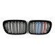 Ніздрі  M-color  ( Подвійні M-Look ) на BMW X1 E84 2009-2015 року