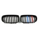 Ніздрі  M-color  ( Подвійні M-Look ) на BMW X1 E84 2009-2015 року