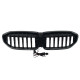 Ніздрі Чорний глянець LED ( Iconic Glow ) 1bar на BMW 3 Series G20 / G21 2018-2022 року