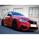 Ніздрі M-color ( Подвійні M-Look ) на BMW 3 Series F30 / F31 2011-2018 року
