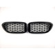Ніздрі Diamond All Black  на BMW 5 Series G30 / G31 2017-2020 року