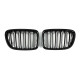 Ніздрі Чорний глянець ( Подвійні M-Look ) на BMW X1 E84 2009-2015 року