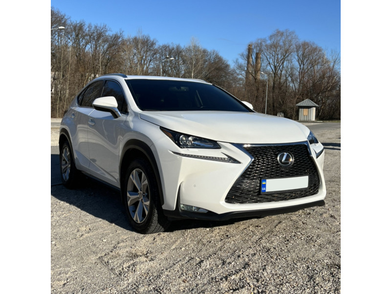 Решітка радіатора Black ( стиль F-Sport ) під камеру  на Lexus NX 2014-2017 року