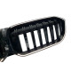 Ніздрі Чорний глянець LED ( Iconic Glow ) 1bar на BMW 3 Series G20 / G21 2022-2024 року
