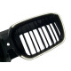 Ніздрі Чорний глянець IX3 LED ( Iconic Glow ) 2bar C на BMW X3 G01 2022-2024 року