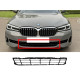 Решітки в бампер  ( середня ) на BMW 5 Series G30 / G31 2020-2023 року