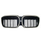 Ніздрі Чорний глянець IX3 LED ( Iconic Glow ) 2bar O на BMW X3 G01 2022-2024 року